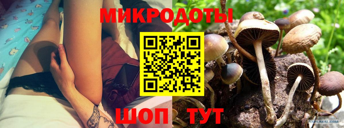 Галлюциногенные грибы мицелий  Галлюциногенные грибы мухоморы  Топки  Вход с VPN 